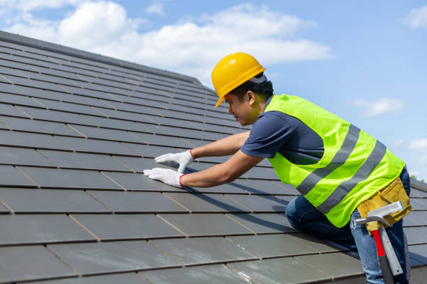 Best Roof Moss and Algae Removal  in Elkland, PA